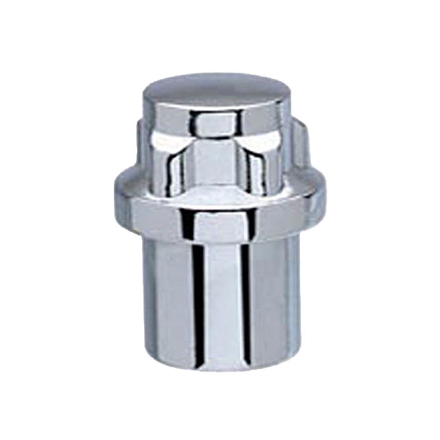  - Passenger Lug Nuts and Acc